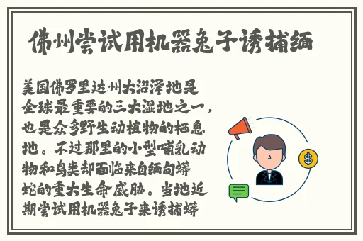**中文字幕无码久久AV爆